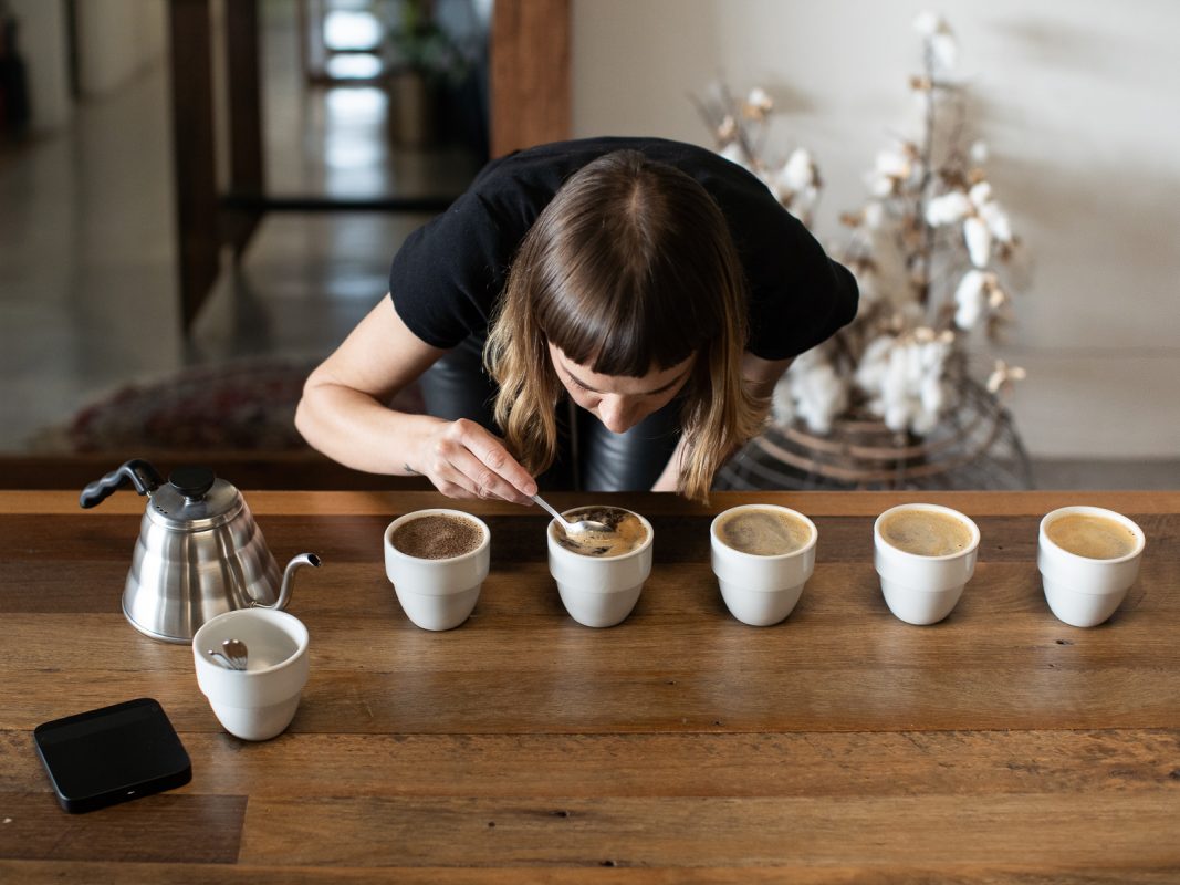 La Cata de Café : Une exploration sensorielle du café