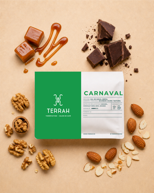 Carnaval - Brésil