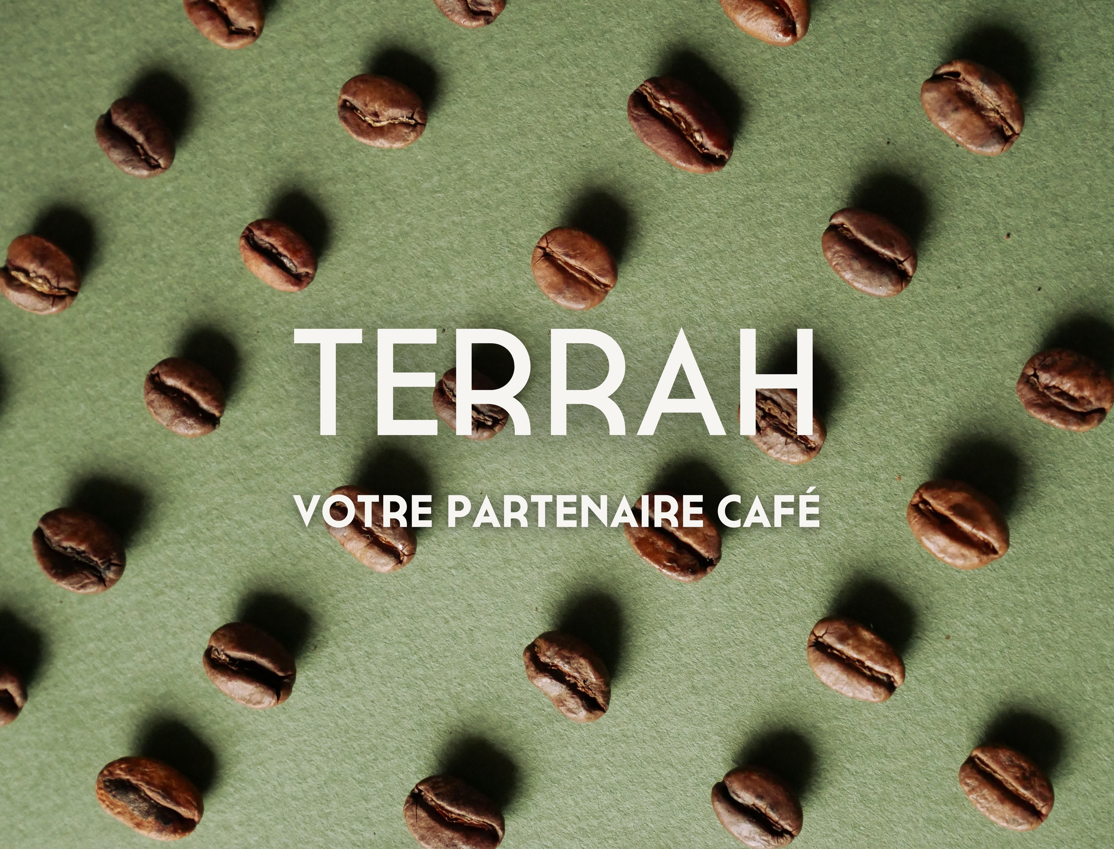 bon café de spécialité terrah, cafe en grains