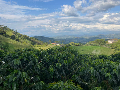 Anisette - Colombie
