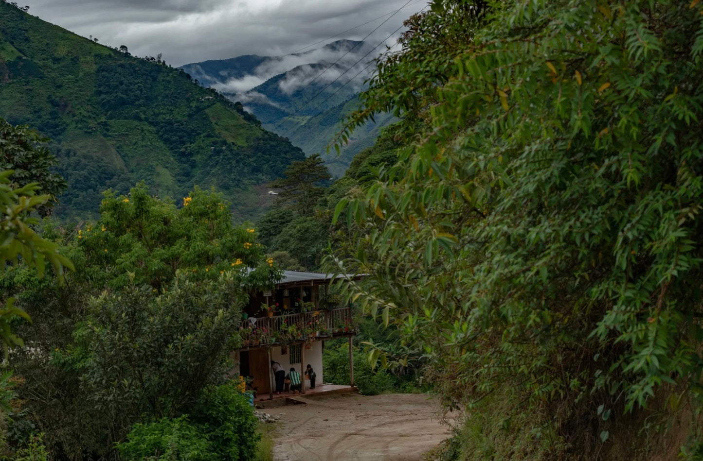 Paysage du Tolima, Colombie